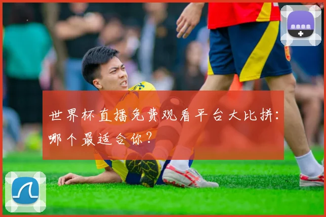 世界杯直播免费观看平台大比拼：哪个最适合你？