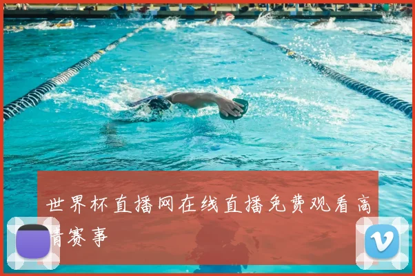 世界杯直播网在线直播免费观看高清赛事